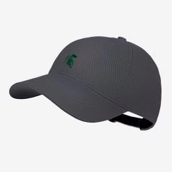 Michigan State Spartans Gray Crew Cap